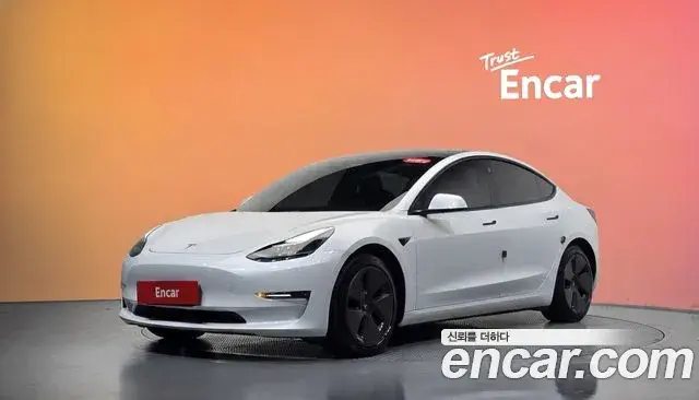 Tesla Model 3 Long Range AWD 2021
