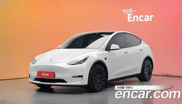 Tesla Model Y Long Range AWD 2021