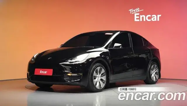 Tesla Model Y Long Range AWD 2021
