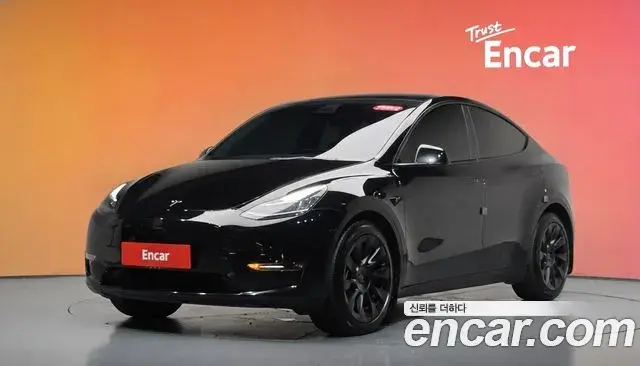 Tesla Model Y Long Range AWD 2021