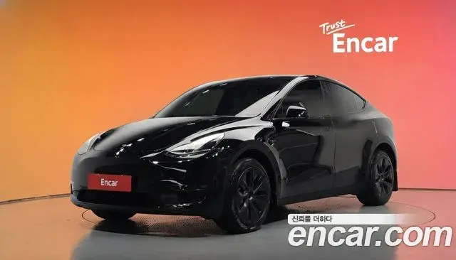 Tesla Model Y Long Range AWD 2024