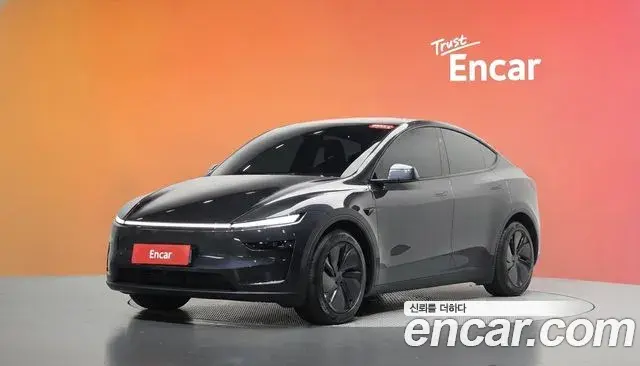 Tesla Model Y Long Range AWD 2025
