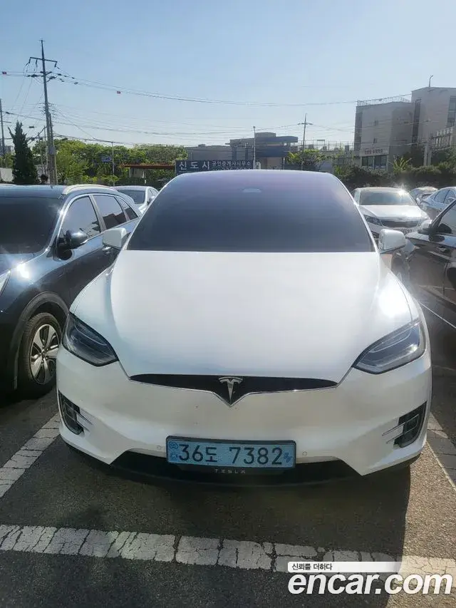 Tesla Model X 100D 2019