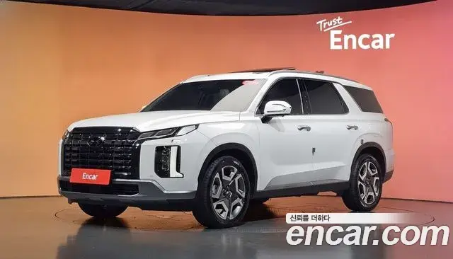 Hyundai Palisade Diesel 2.2 2WD Le Blanc 2024