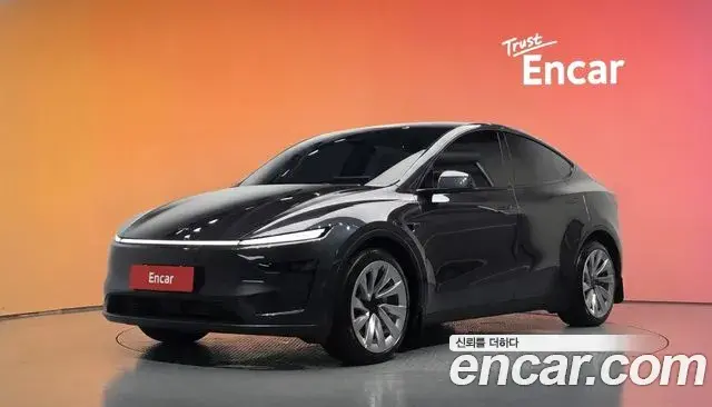 Tesla Model Y Long Range AWD 2025