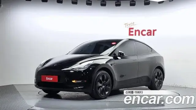 Tesla Model Y Standard Range RWD 2021