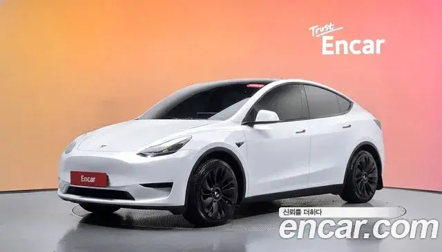 Tesla Model Y RWD 2023