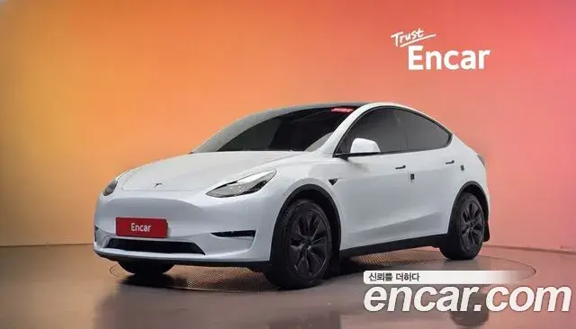 Tesla Model Y Long Range AWD 2024