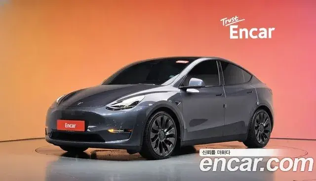 Tesla Model Y Performance AWD 2021