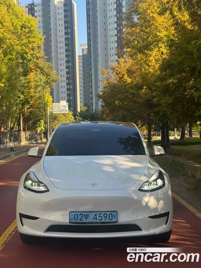 Tesla Model Y RWD 2023