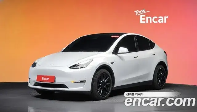 Tesla Model Y Long Range AWD 2021