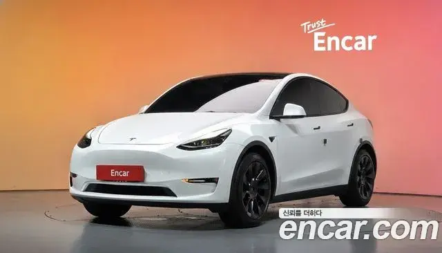 Tesla Model Y Standard Range RWD 2021
