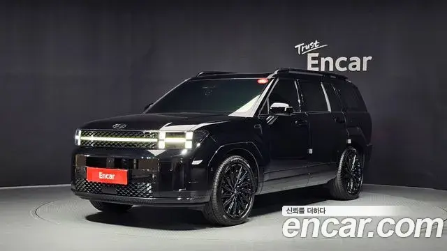 Hyundai Santa Fe Gasoline 2.5T 2WD Calligraphy 2024