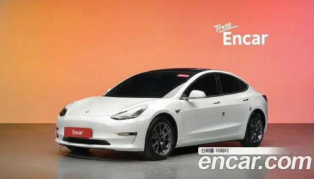 Tesla Model 3 Long Range AWD 2020