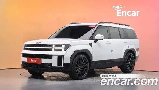 Hyundai Santa Fe Gasoline 2.5T 2WD Calligraphy 2024