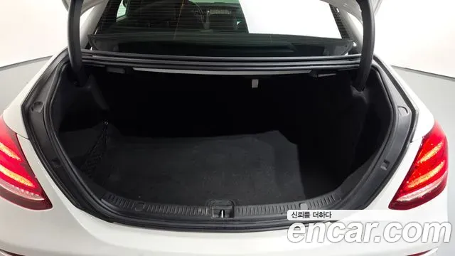 Mercedes-Benz E-Class E250 Avantgarde 2019 — фото 30