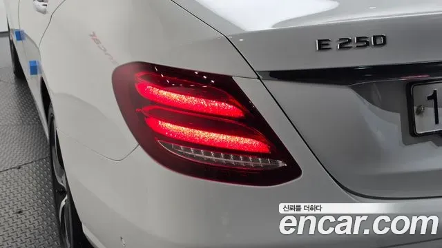 Mercedes-Benz E-Class E250 Avantgarde 2019 — фото 23