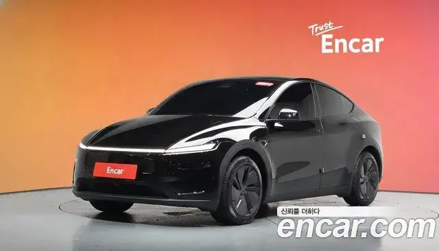 Tesla Model Y Long Range AWD 2025