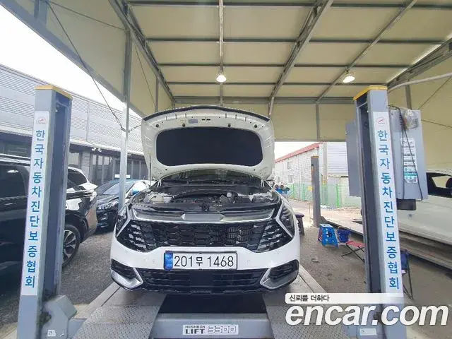Kia Sportage Gasoline 1.6 Turbo 2WD Signature 2024