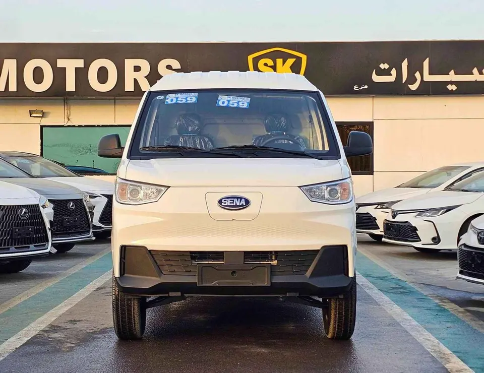 Sinogold Sena Ev300 CARGO 2025