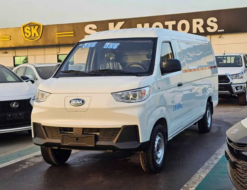 Sinogold Sena Ev300 CARGO 2025