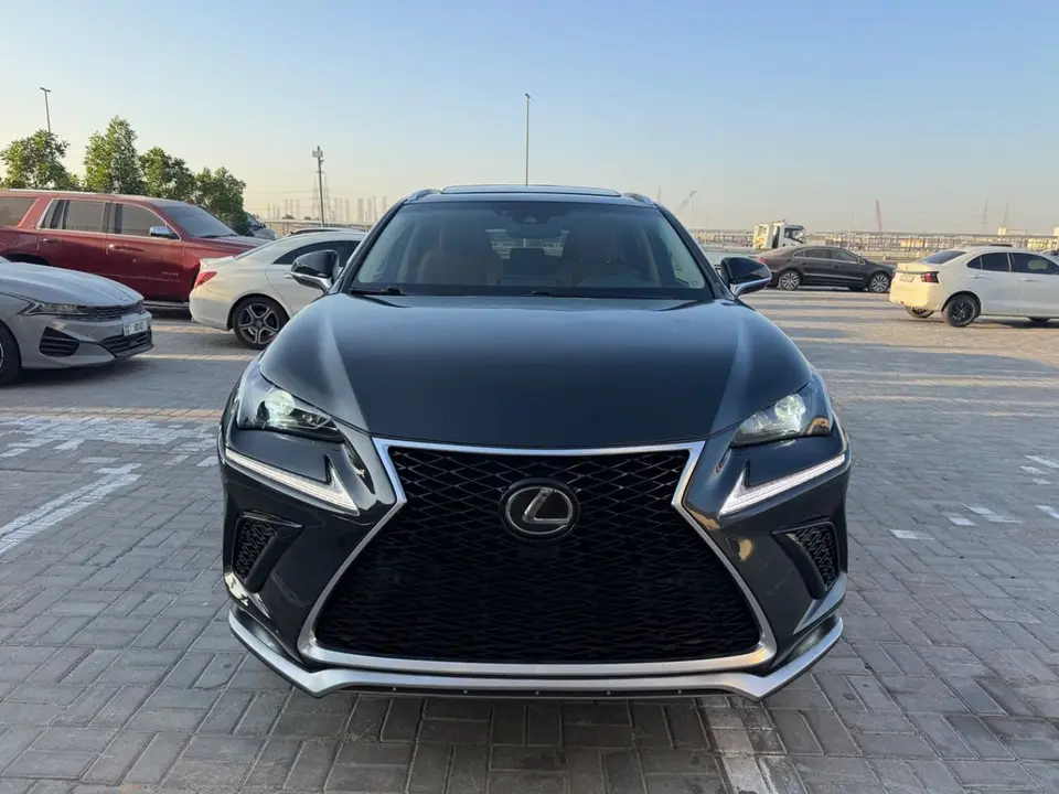 Lexus NX300 PLATINUM 2020