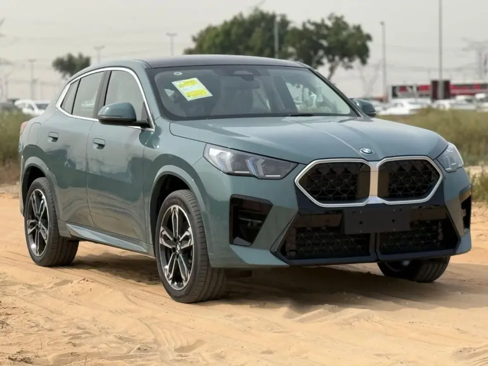 BMW X2 SDRIVE25I M SPORT 2025