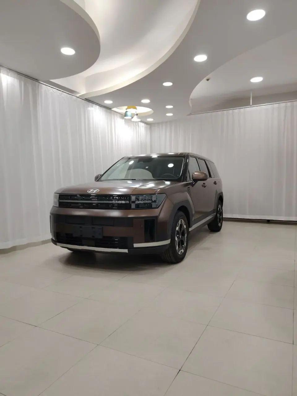 Hyundai Santa Fe Calligraphy 5 seats 2024