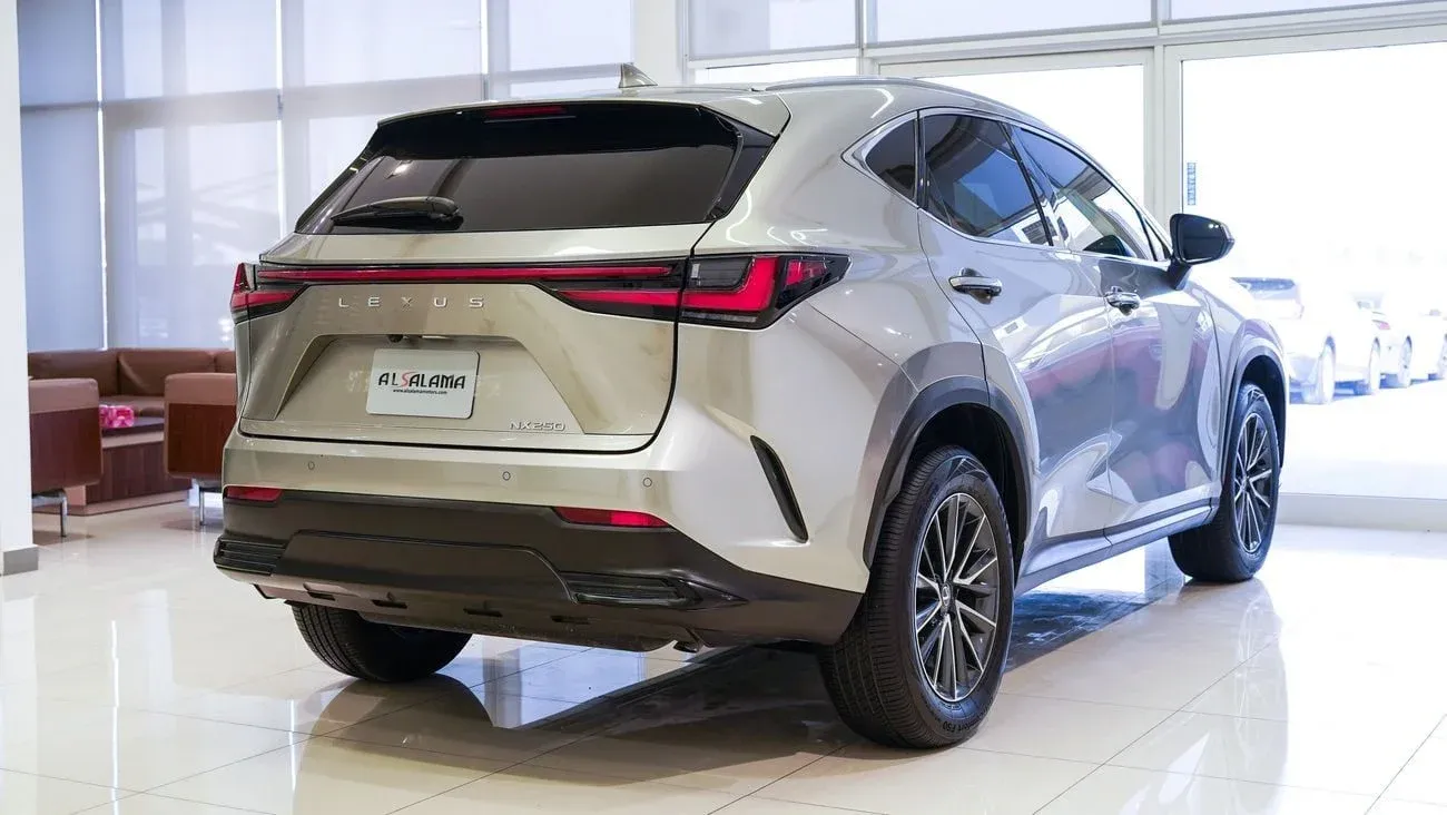 Lexus NX250 PREMIUM 2025 — фото 13