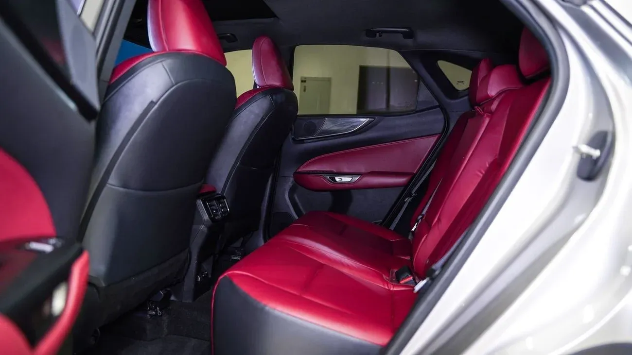 Lexus NX250 PREMIUM 2025 — фото 11