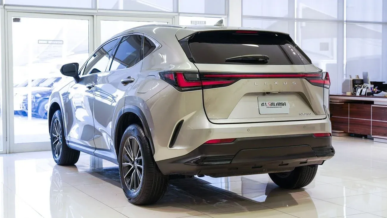 Lexus NX250 PREMIUM 2025 — фото 15