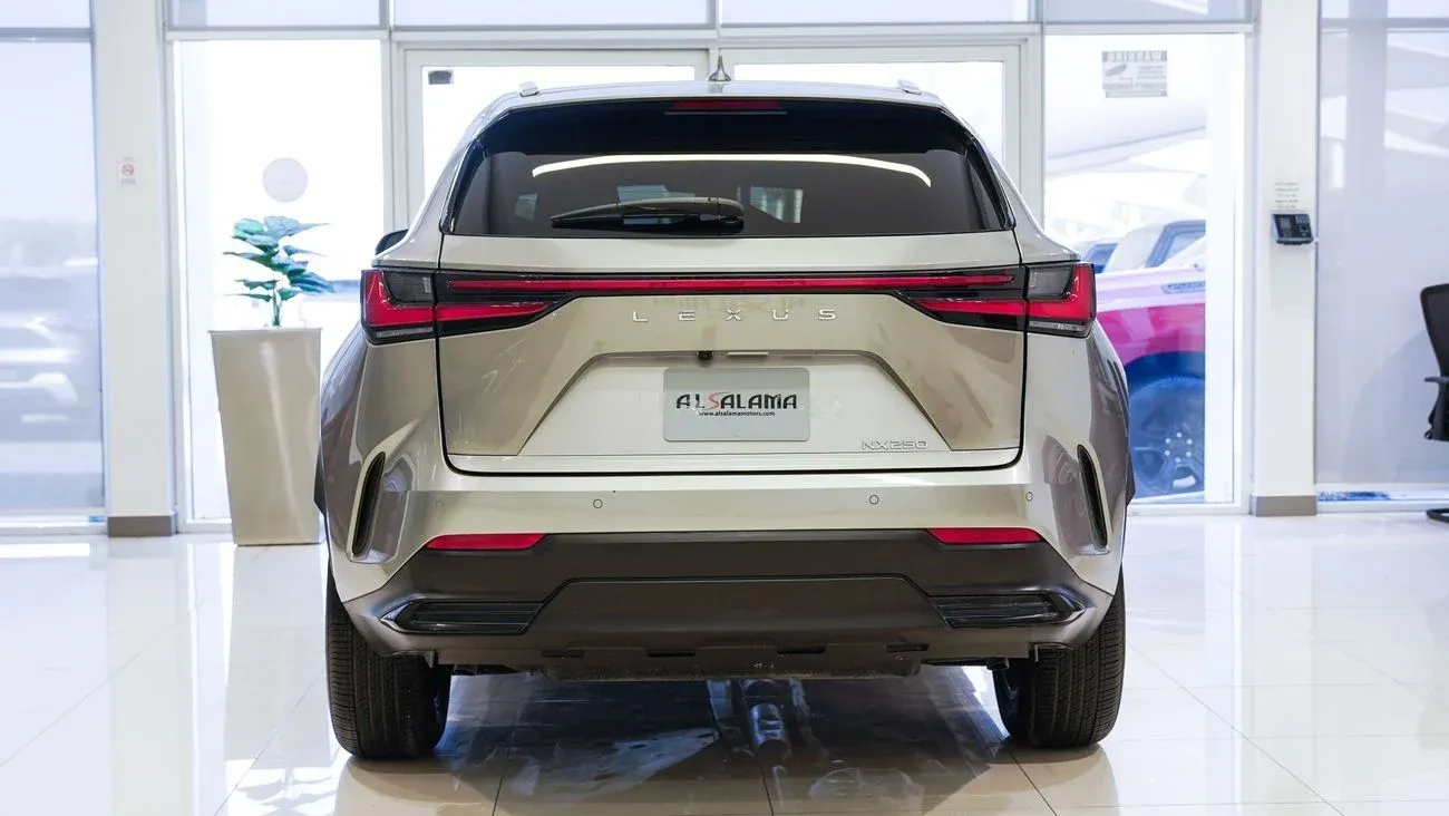 Lexus NX250 PREMIUM 2025 — фото 14