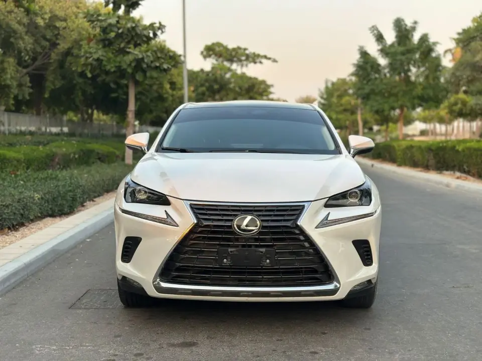 Lexus NX300 PLATINUM 2021