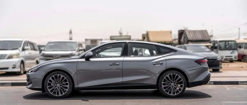 MG 7 DEL 2025