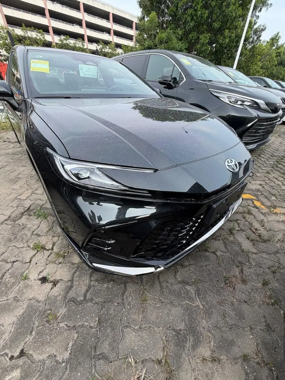 Toyota Camry SPORT 2026