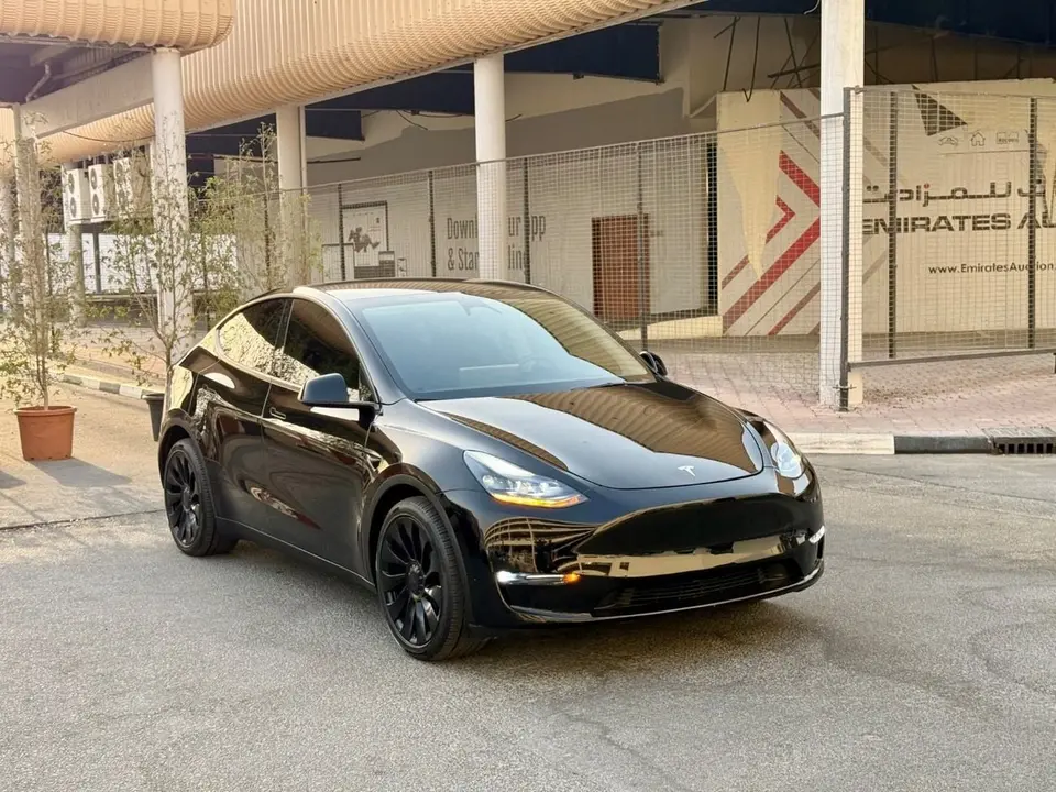 Tesla Model Y LONG RANGE 2024
