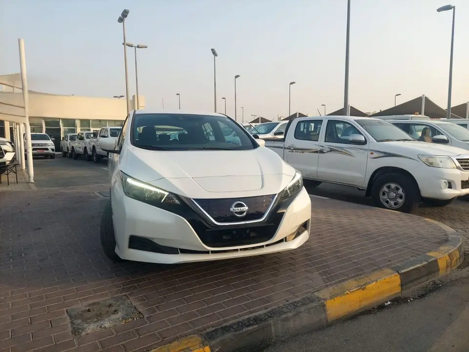 Nissan Leaf 2020