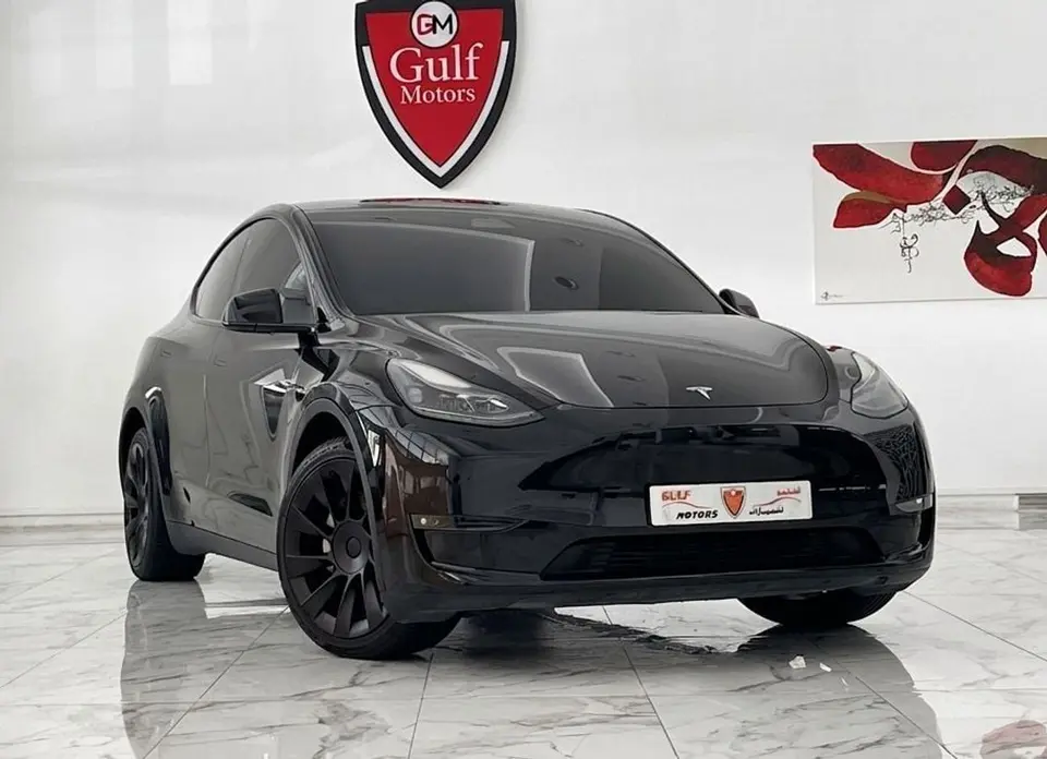 Tesla Model Y LONG RANGE 2023