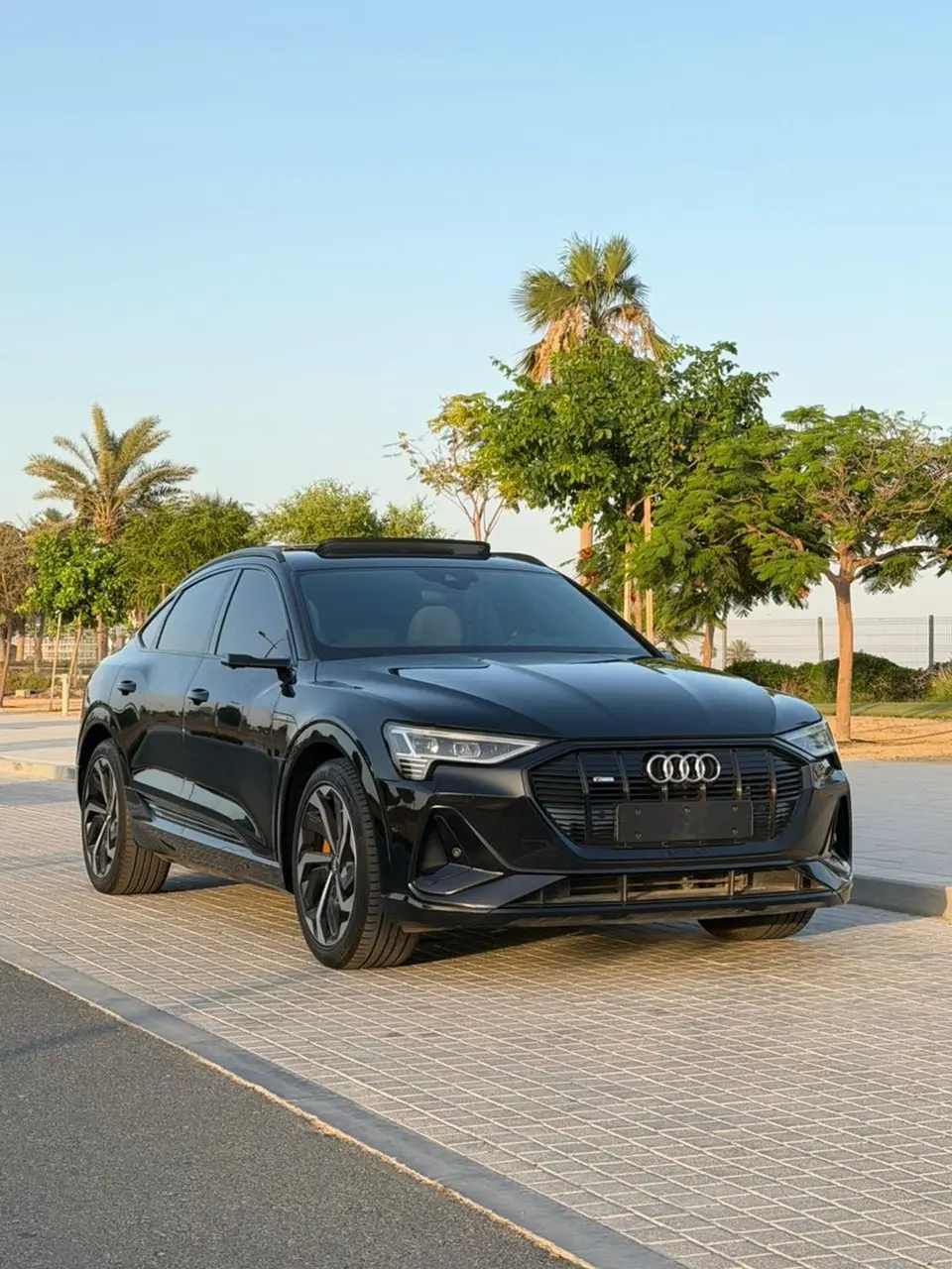 Audi Q8 e-tron Other 2020