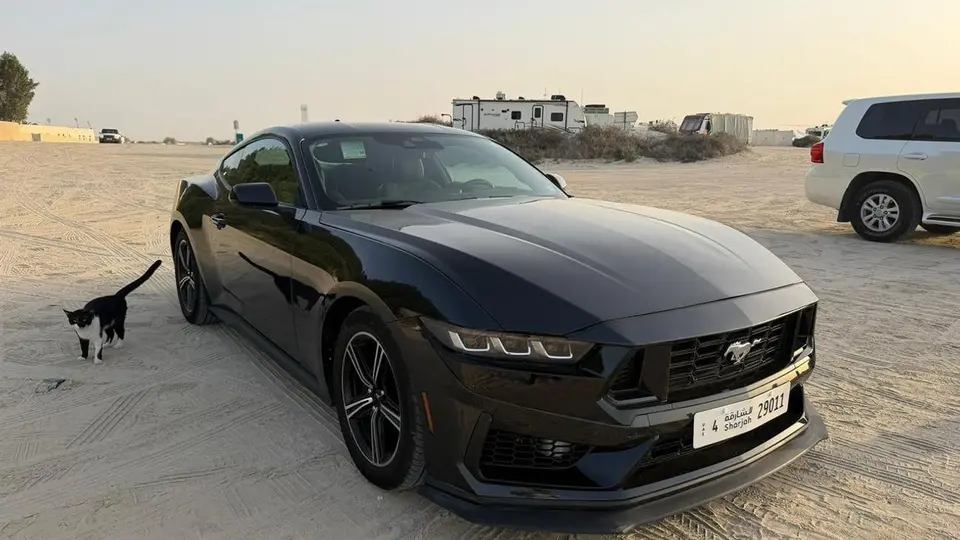 Ford Mustang STANDARD 2024