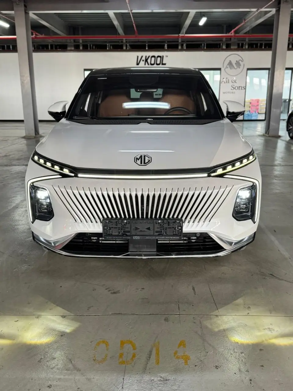 MG Whale LUX 2024