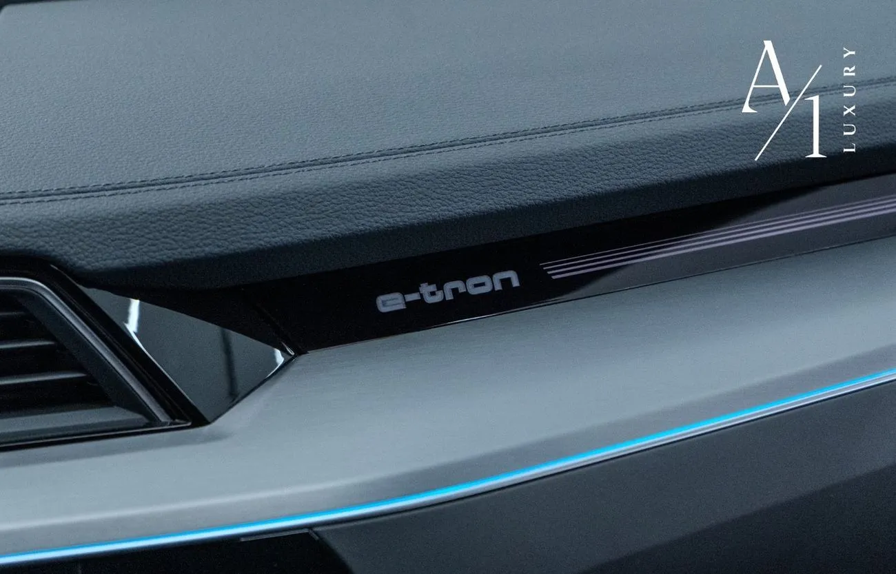 Audi Q8 e-tron 55 S-LINE 2024 — фото 13