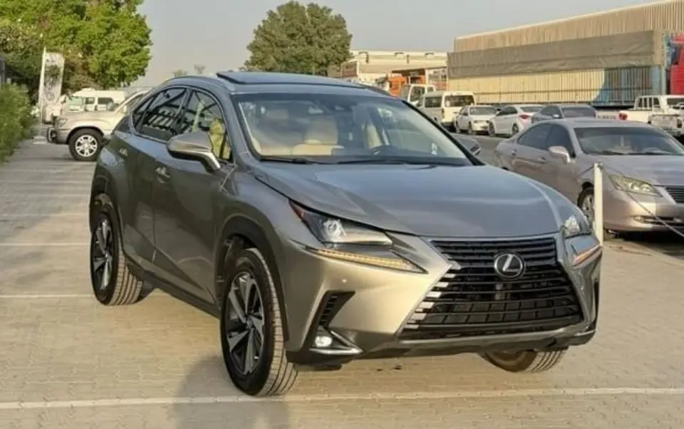 Lexus NX300 Other 2021