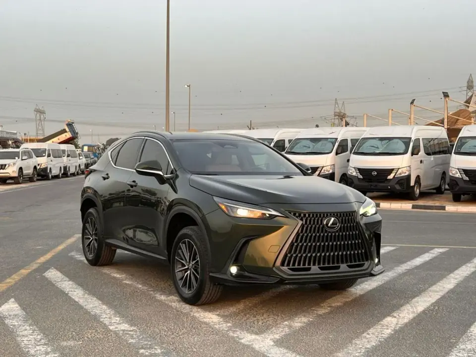 Lexus NX250 PREMIUM 2024