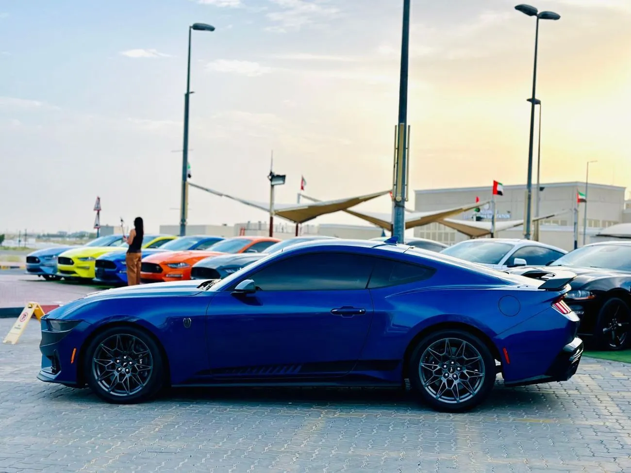 Ford Mustang DARK HORSE PREMIUM 2024 — фото 8