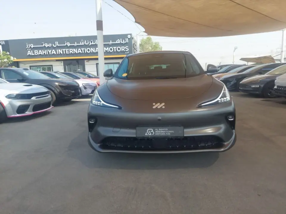 IM Motors LS6 STANDARD 2025